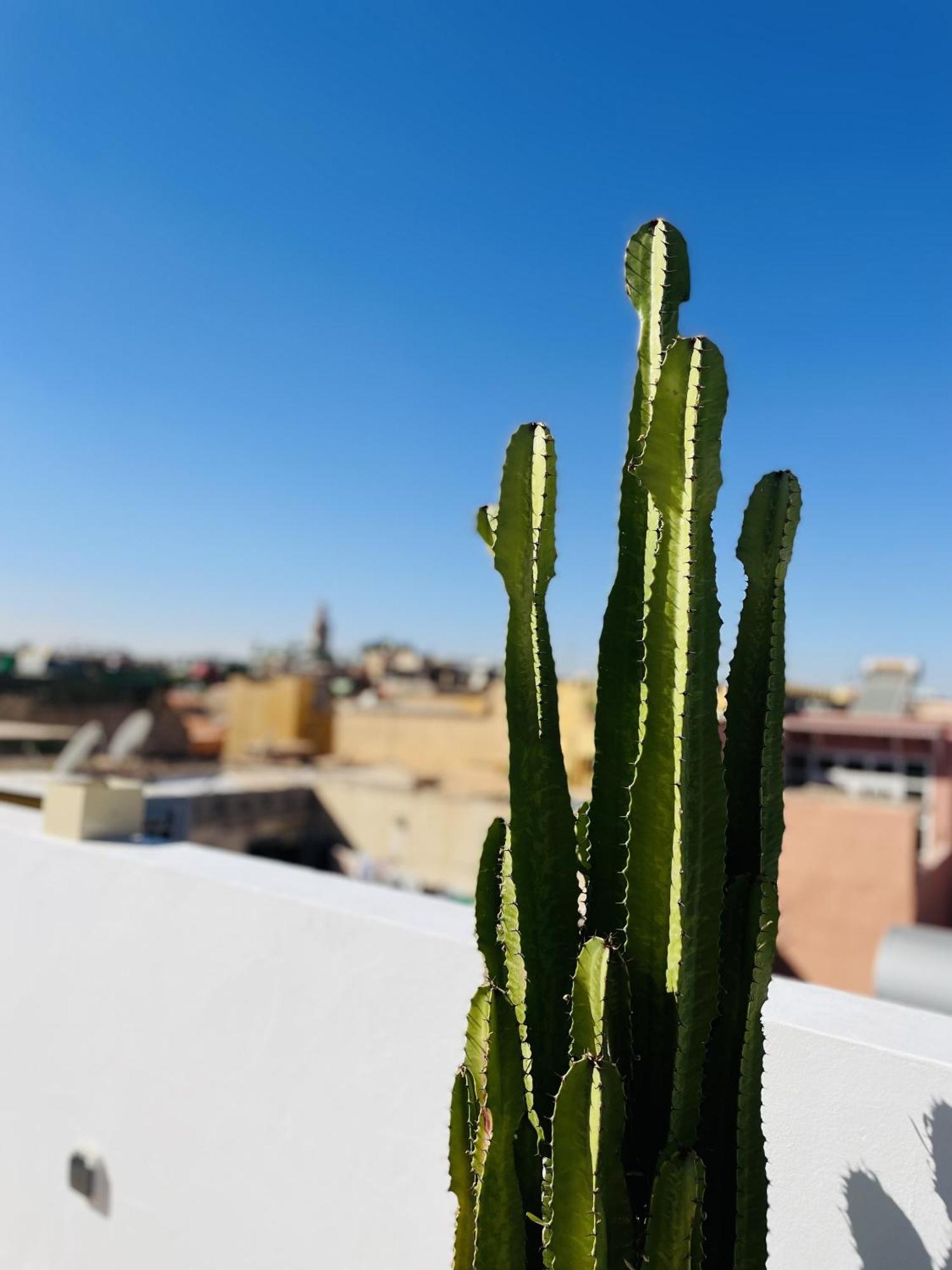 Riad Dar Bayane Marrakesh Buitenkant foto